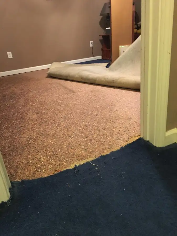 Carpet pad removal revealing water damage during Drying & Dehumidification in Centralia