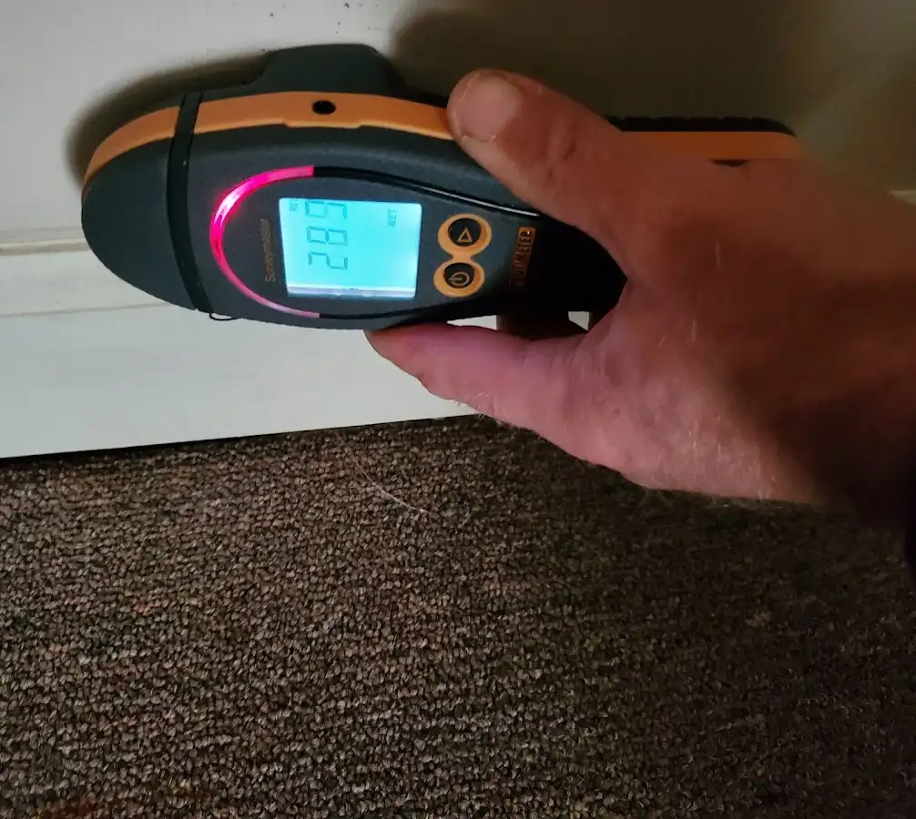 Moisture detection at baseboard during Mold Inspection & Testing in Centralia
